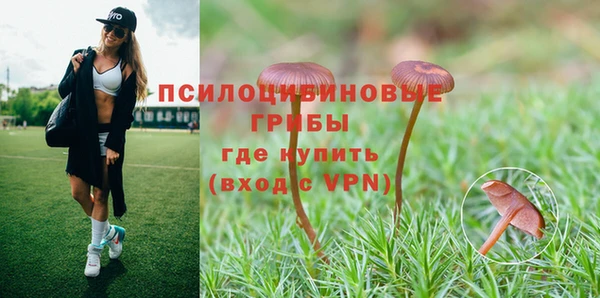 мяу мяу кристалл Елизово