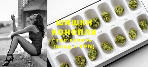 спайс Ельня