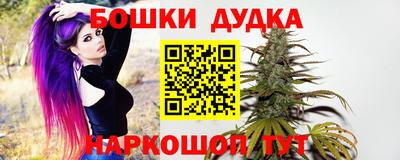 тгк Славгород