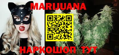 тгк Славгород