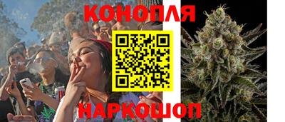 тгк Славгород